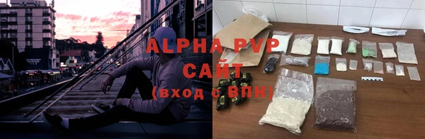 молекула духа Арсеньев