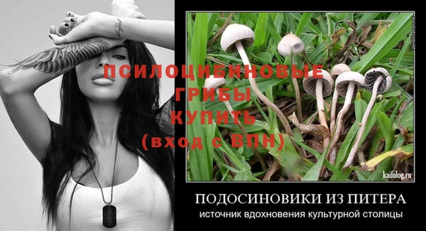 Альфа ПВП Аркадак