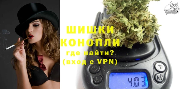 Альфа ПВП Аркадак