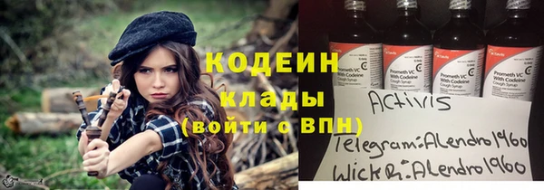 молекула духа Арсеньев