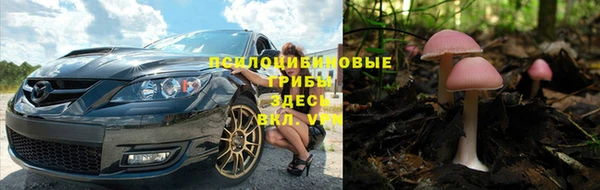 Альфа ПВП Аркадак